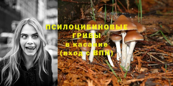 мдма Беломорск