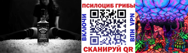Псилоцибиновые грибы GOLDEN TEACHER  Гремячинск 
